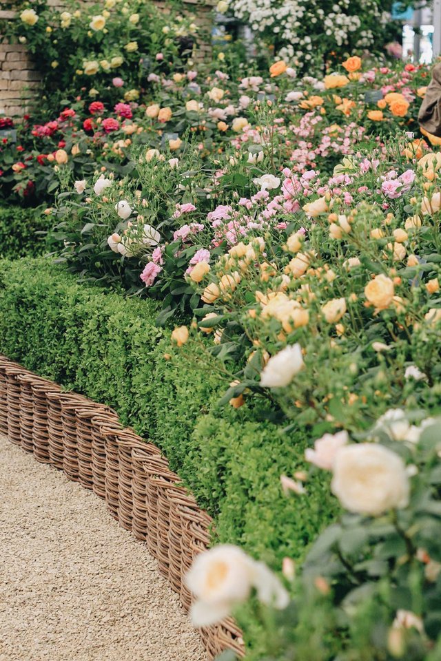 Burford Garden Company