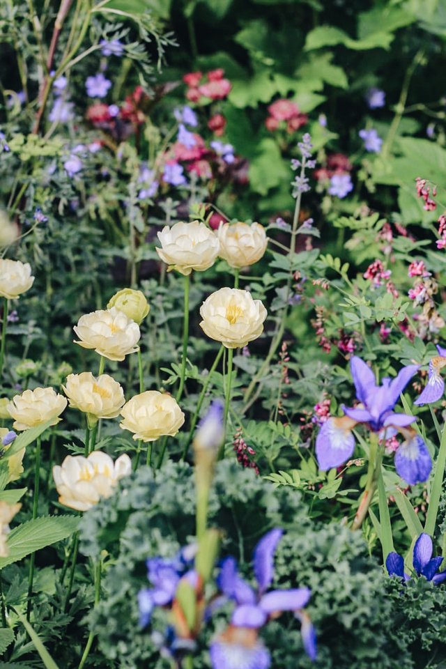 Burford Garden Company