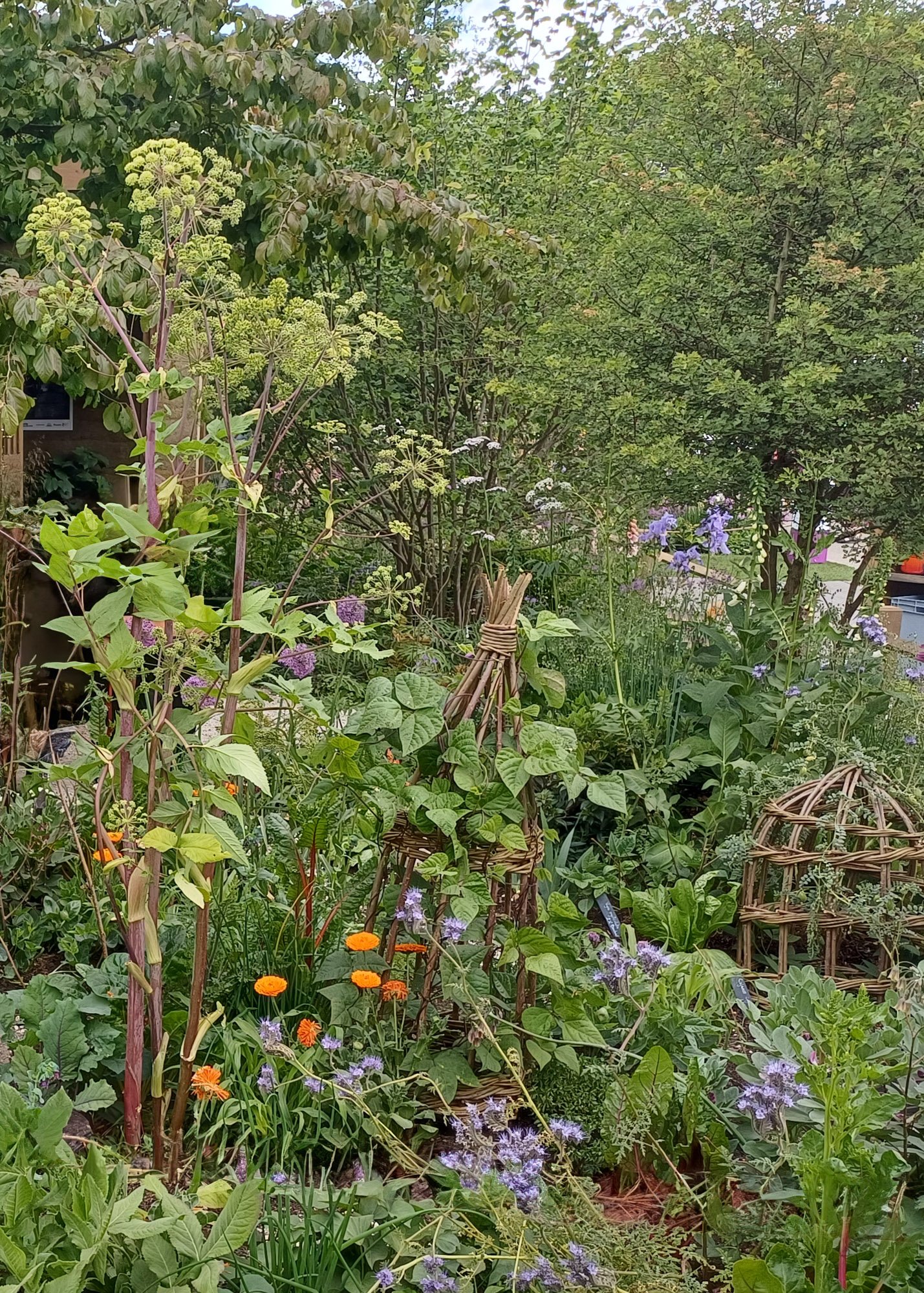 The Garden of the Future