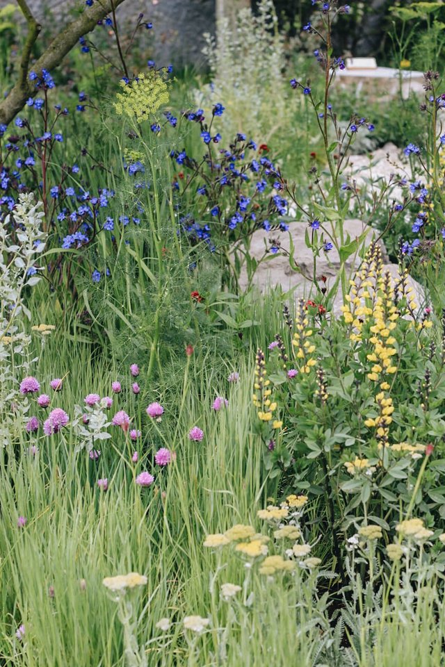 Burford Garden Company