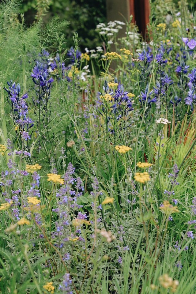 Burford Garden Company