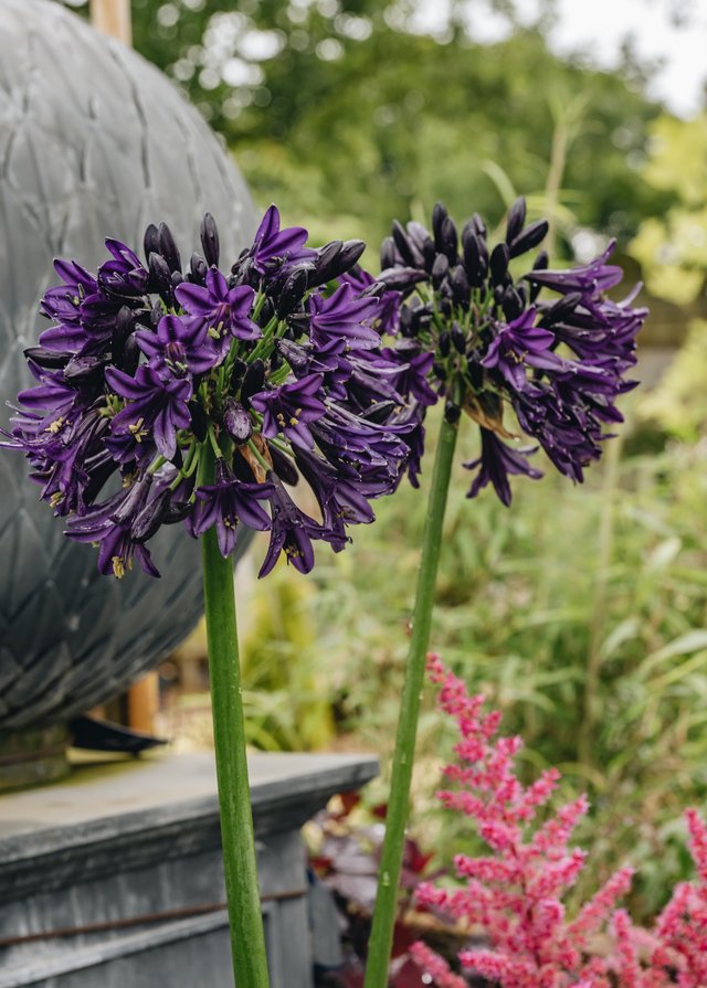 Burford Garden Company