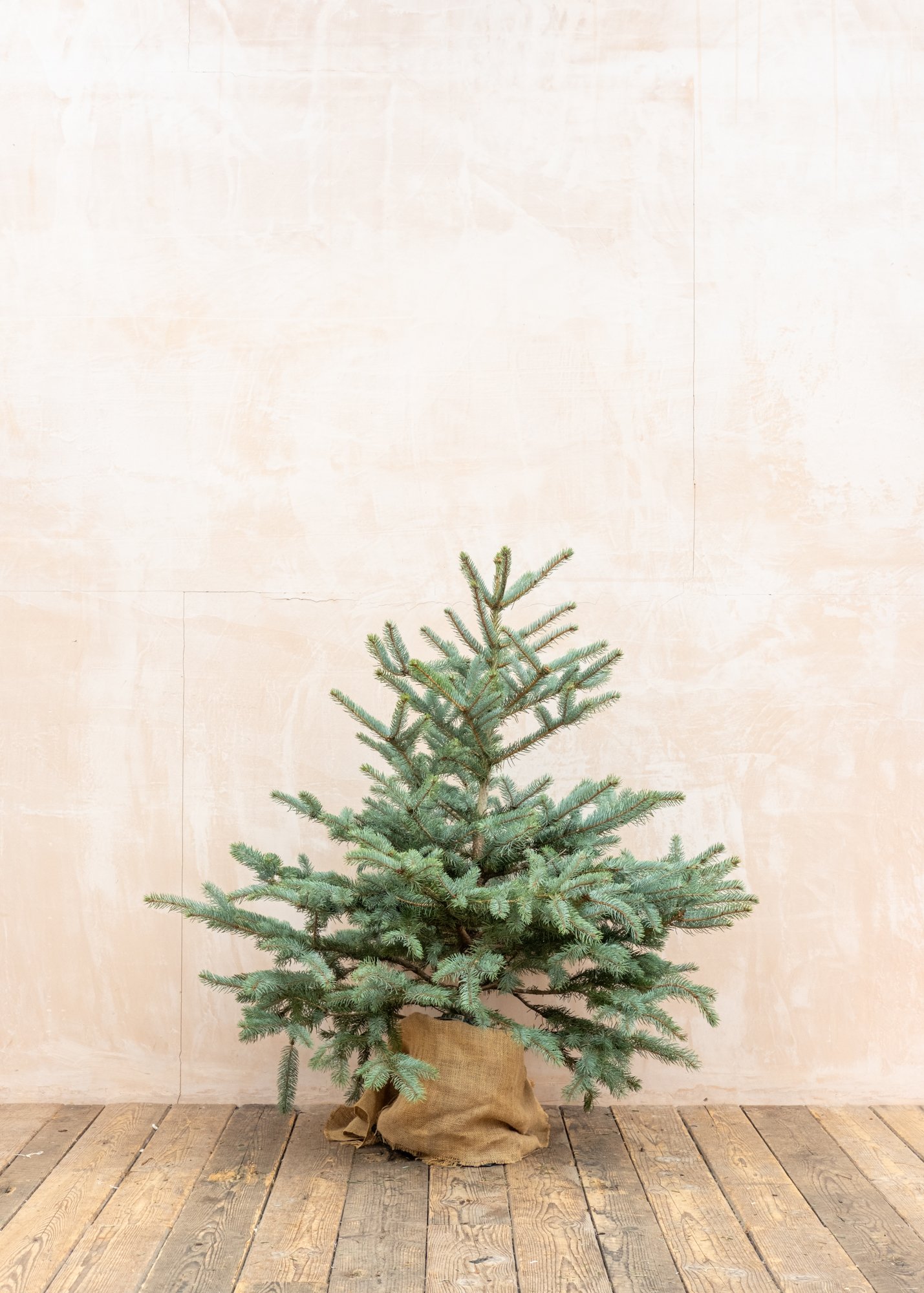 Burford Garden Company