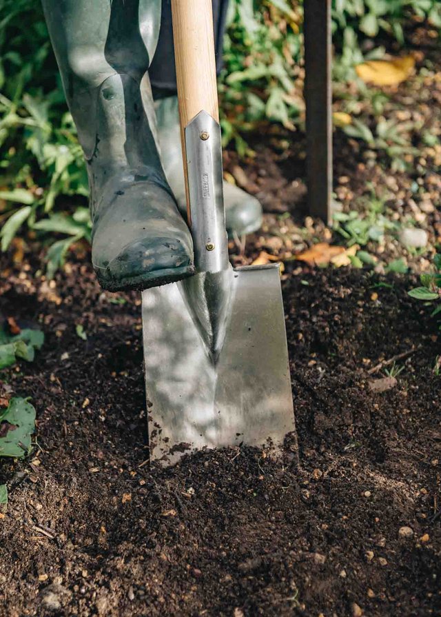 Burford Garden Company