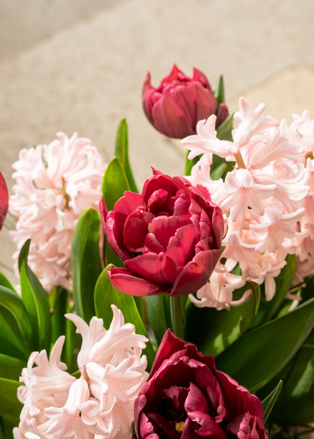 Burford Garden Company