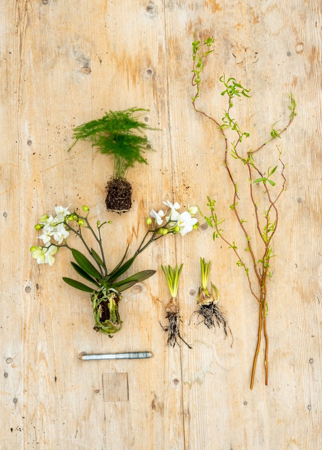 Burford Garden Company