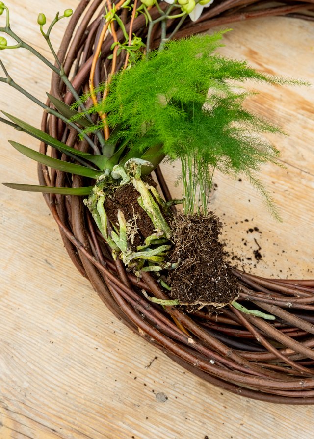 Burford Garden Company