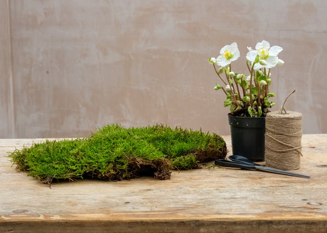 Burford Garden Company