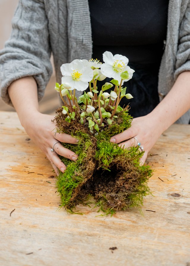 Burford Garden Company