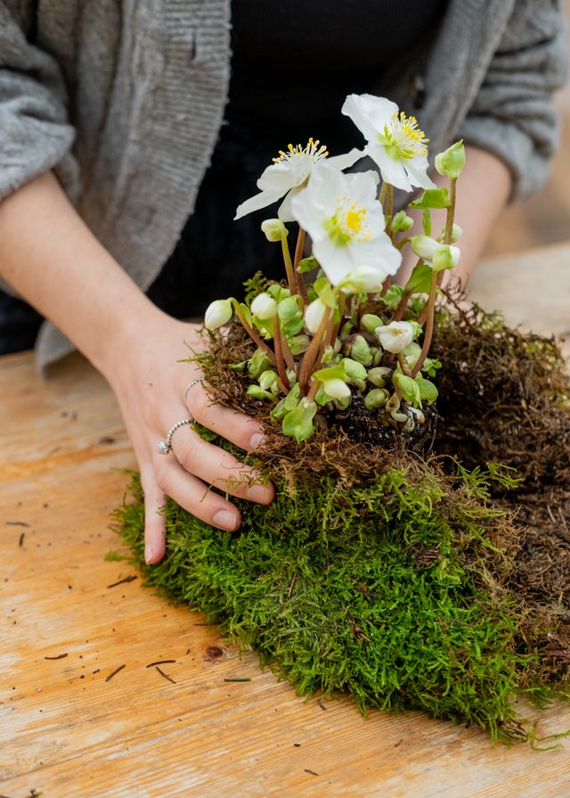 Burford Garden Company