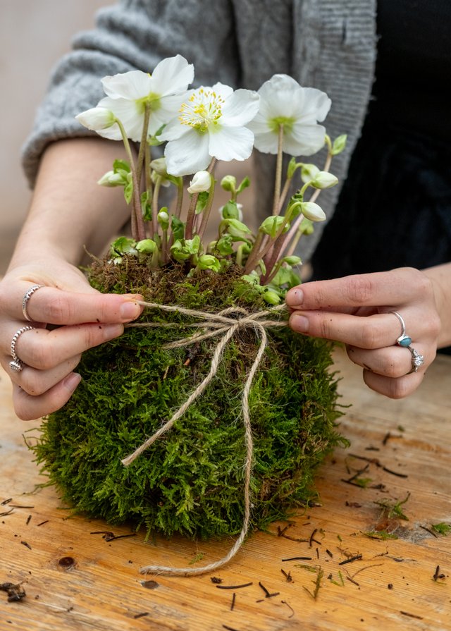 Burford Garden Company