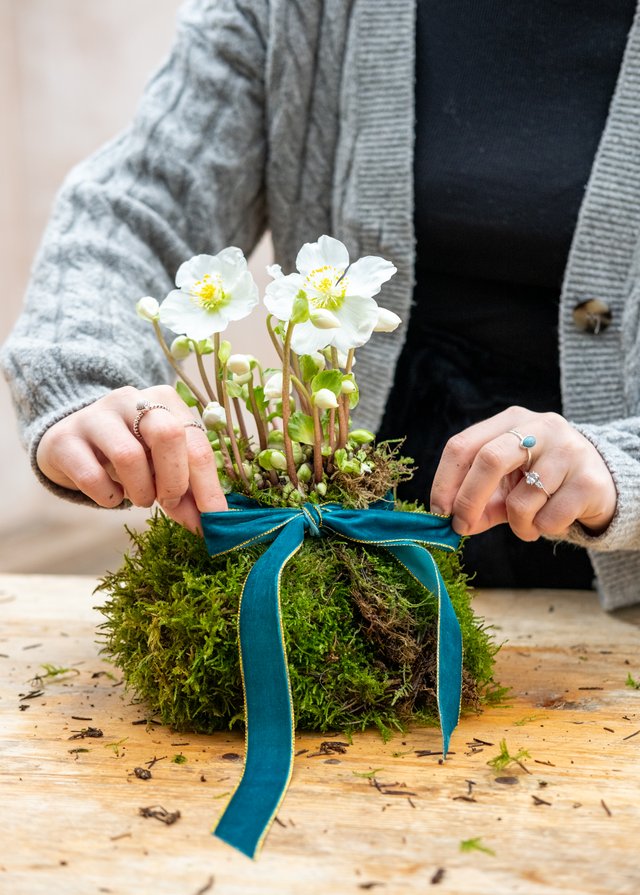 Burford Garden Company