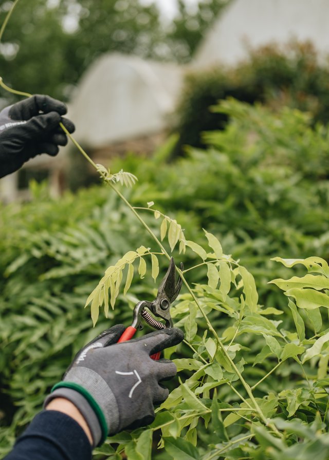 Burford Garden Company