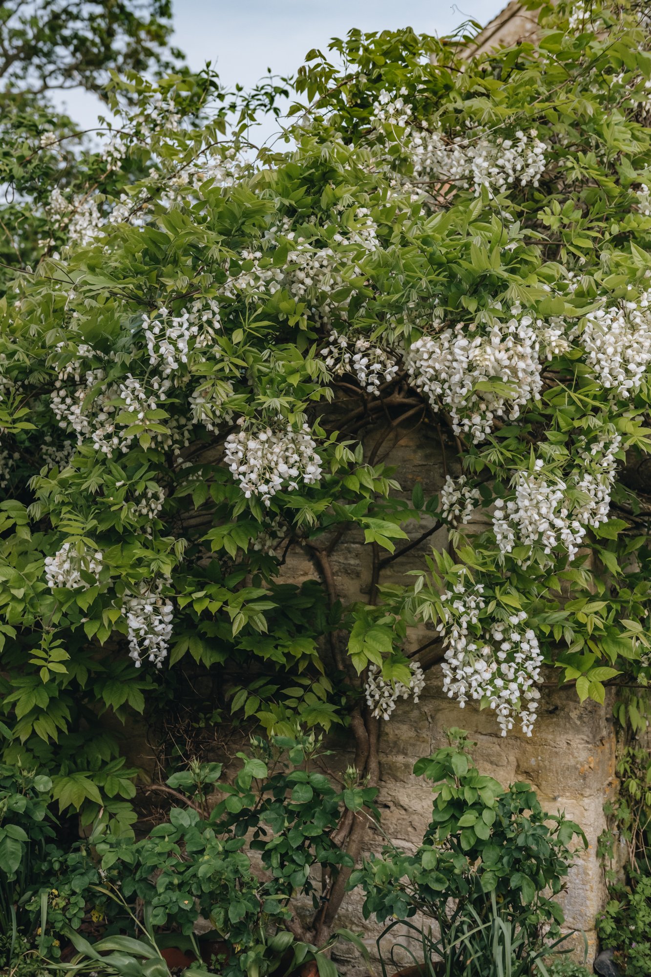 Burford Garden Company