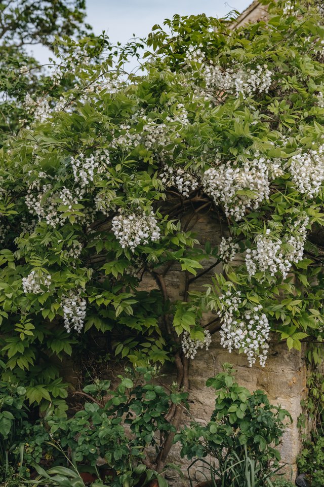 Burford Garden Company