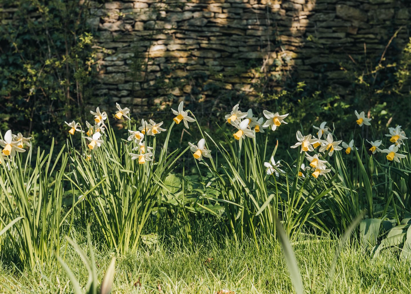 Burford Garden Company