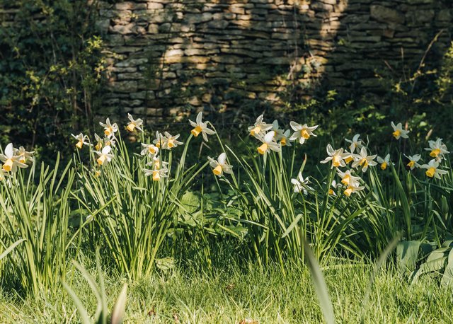 Burford Garden Company
