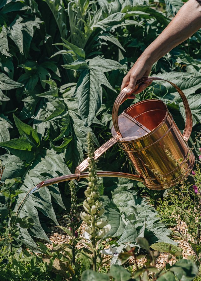 Burford Garden Company