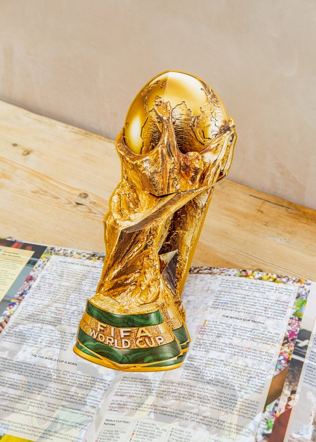 An open page of the pop up book FIFA World Cup depicting the World Cup