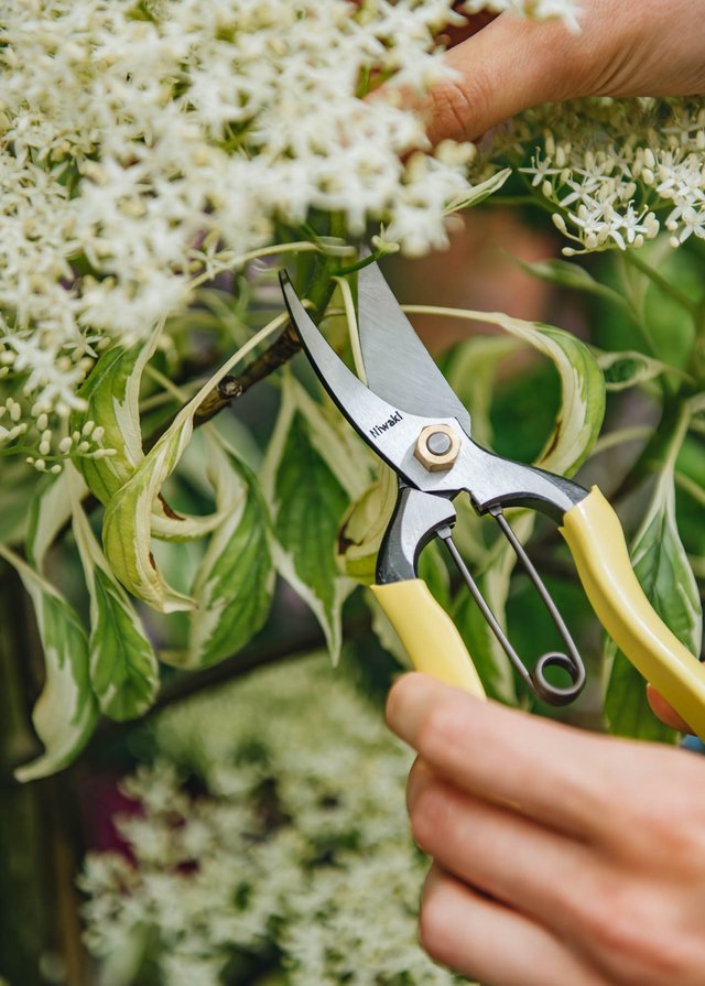 Burford Garden Company