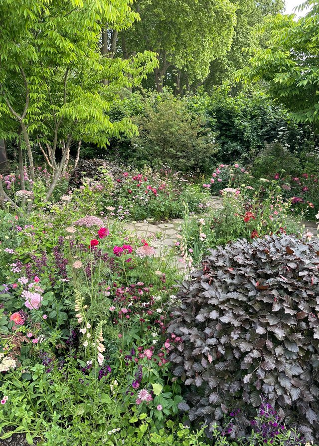 Jo Thompson The Glasshouse Garden
