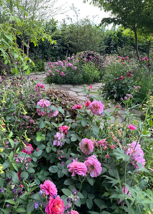 Jo Thompson The Glasshouse Garden