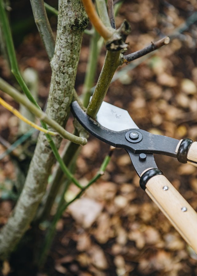 Burford Garden Company