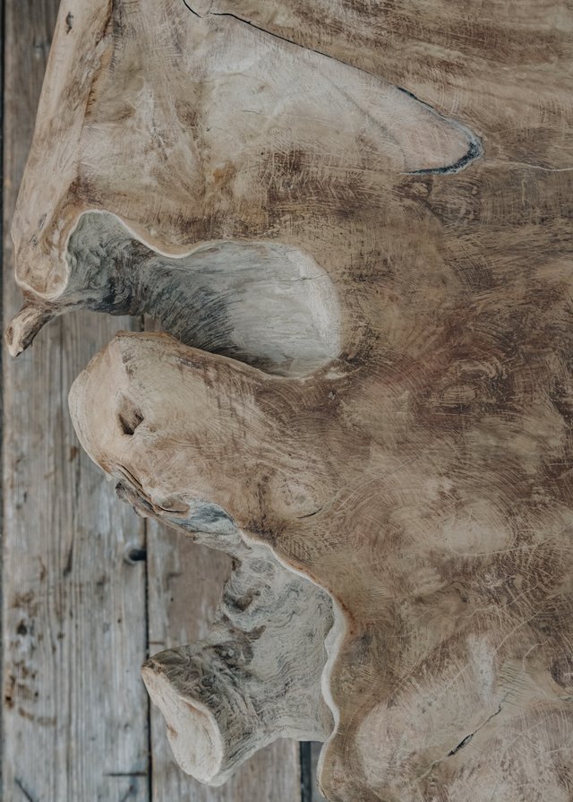 Natural Shaped Coffee Table