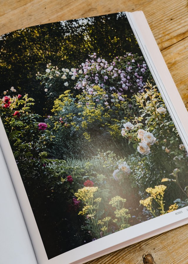 Burford Garden Company