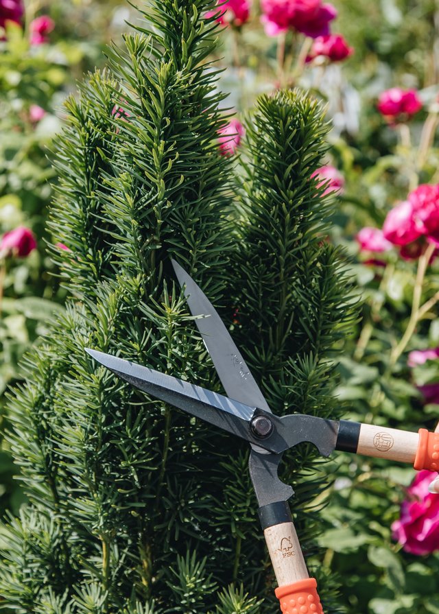 Burford Garden Company