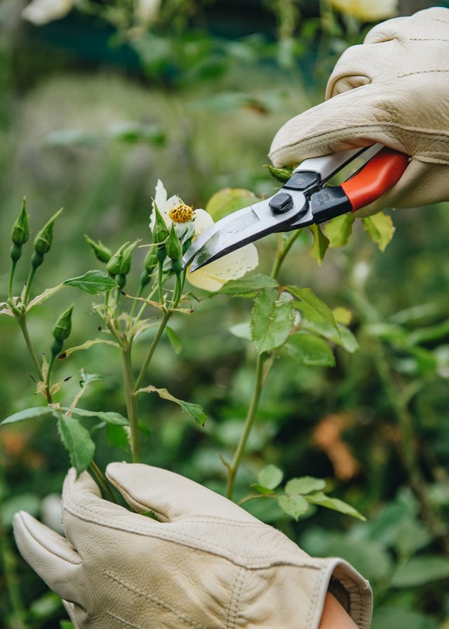 Burford Garden Company