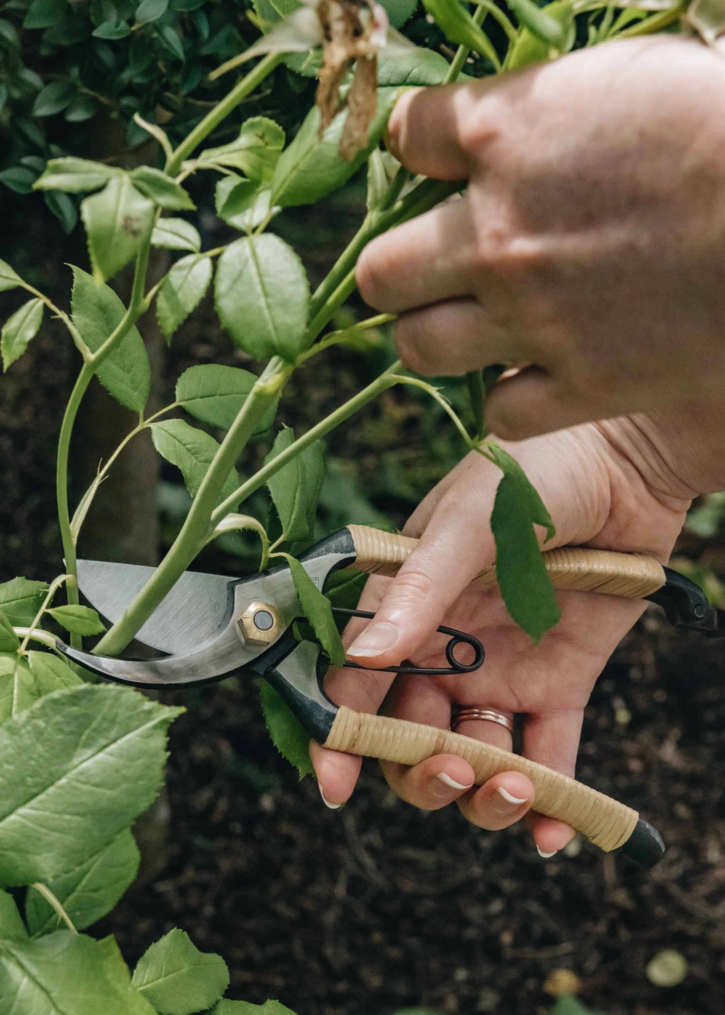 Burford Garden Company
