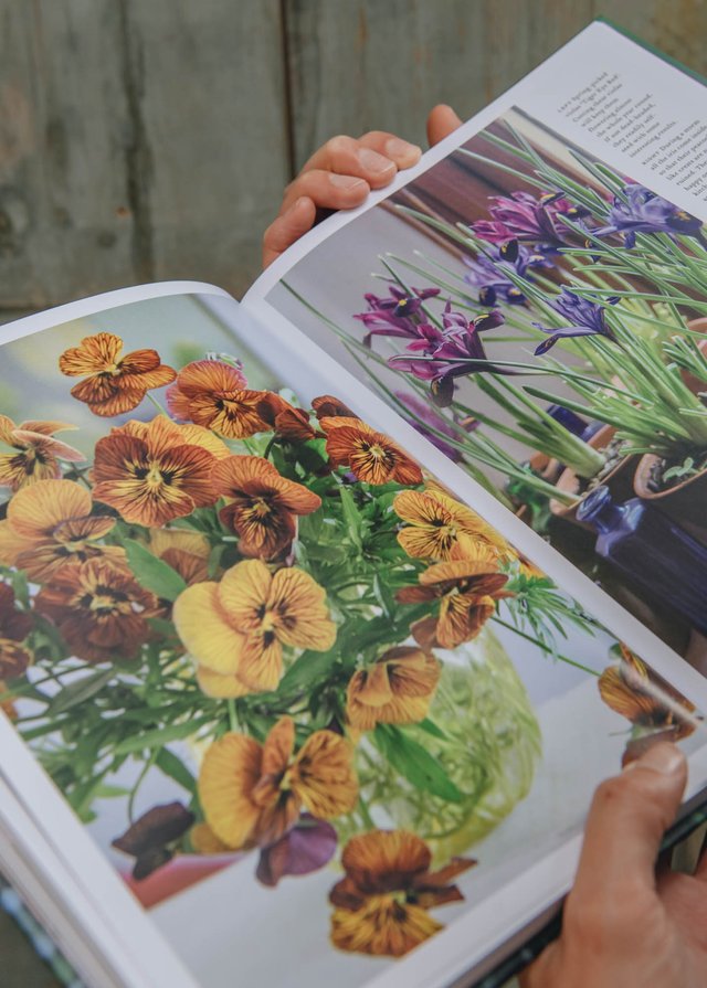 Burford Garden Company